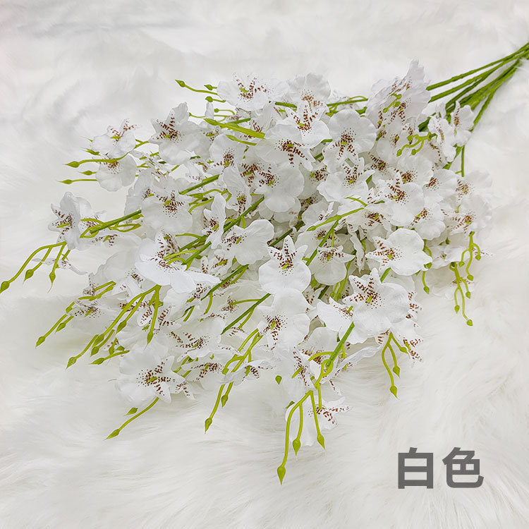 Orchidée dansante (blanche)