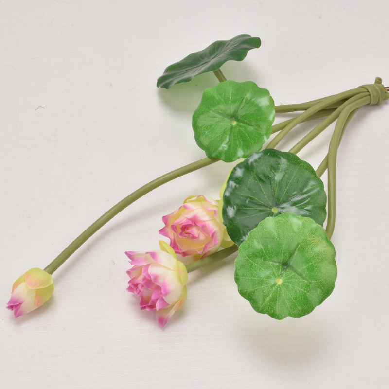 Pequeño Loto Rosa púrpura