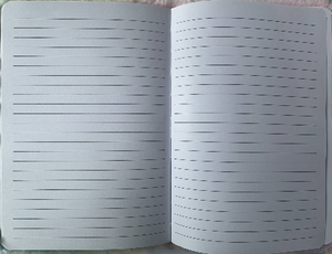 学生学习用品卡通可爱毛绒精装笔记本轻便日记练习本 - Product Image 2
