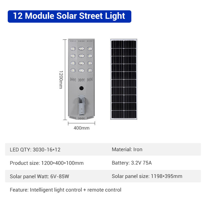 gray LU-SS206-12 Module
