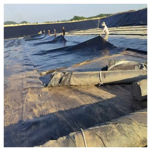 Çin'den toptan yüksek kalite 1.5mm 2mm geomembran HDPE fabrika endüstriyel tasarım tarzı PVC malzeme - Product Image 2