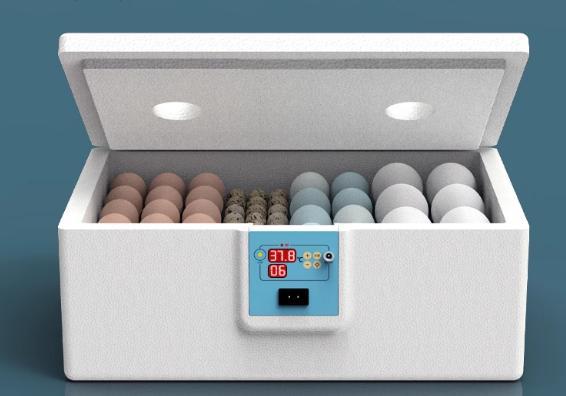 6 modèles automatiques avec batterie unique