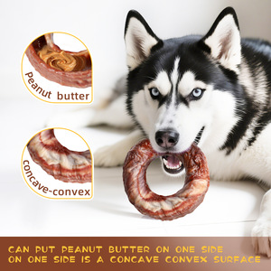 Yeni çevre dostu ısırmaya dayanıklı naylon köpek oyuncakları diş çıkarma kemik şekli köpek çiğneme oyuncakları köpek oyuncakları ağır Chewers için - Product Image 4