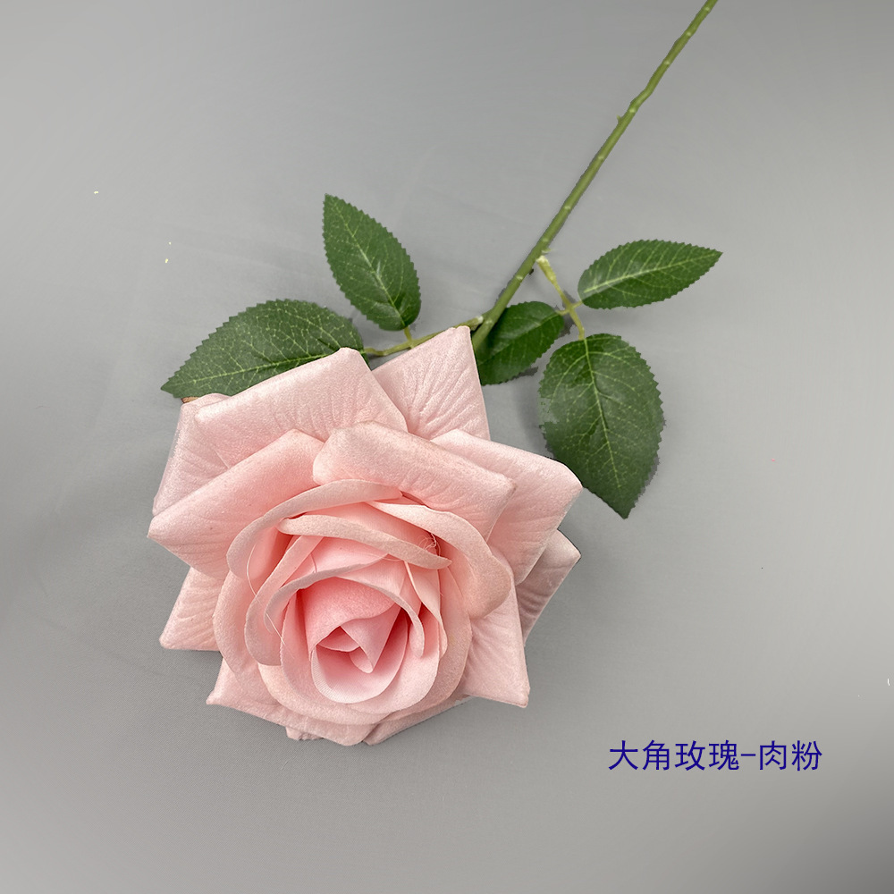 Rosa con cuernos grandes - Rosa carne