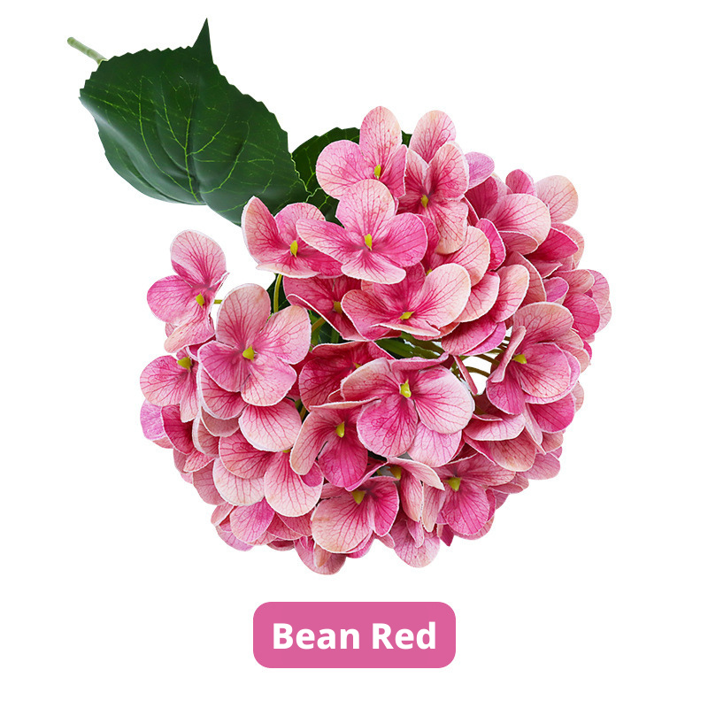 Red bean paste color