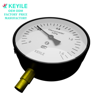 Sensor de presión digital industrial y transductor de calibre con capacidades de medición del convertidor de presión - Product Image 2
