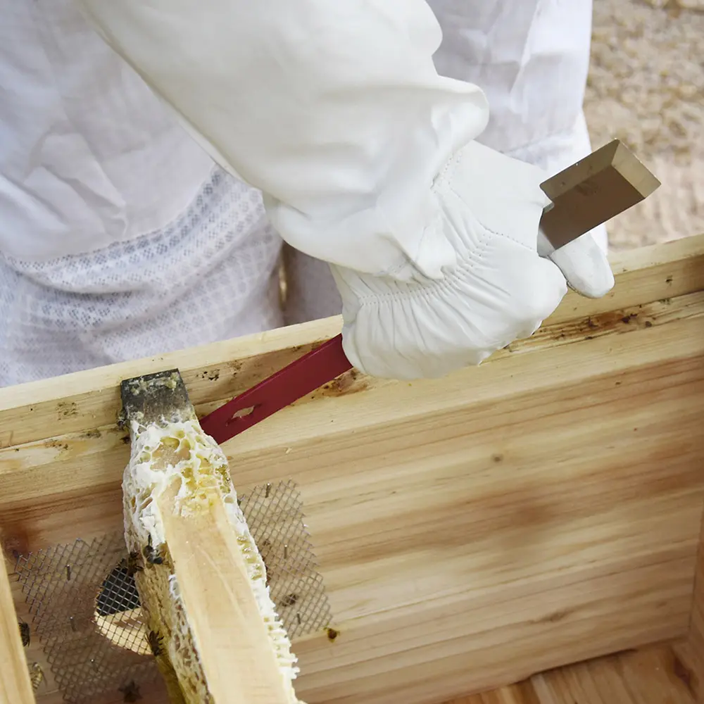 Equipo de apicultura miel de alta calidad rojo de colmena de la abeja de herramientas para la venta