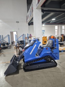 Trung Quốc Nhà sản xuất 0.3ton Skid chỉ đạo với CE/EPA động cơ theo dõi Skid chỉ đạo Bộ nạp đi xe trên Mini Crawler loader Giao hàng nhanh - Product Image 6