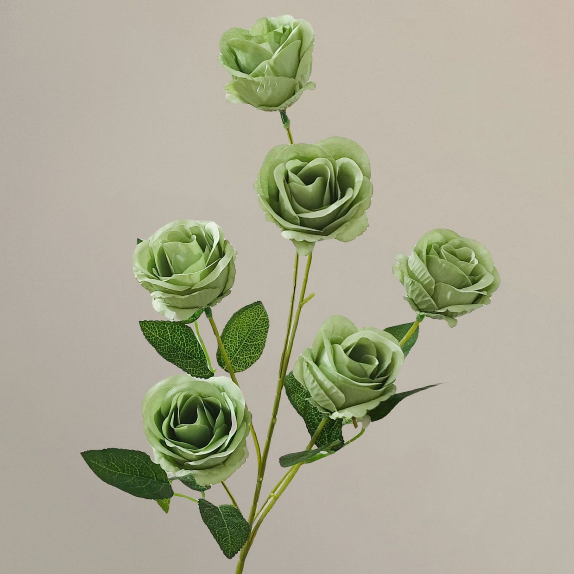Vert