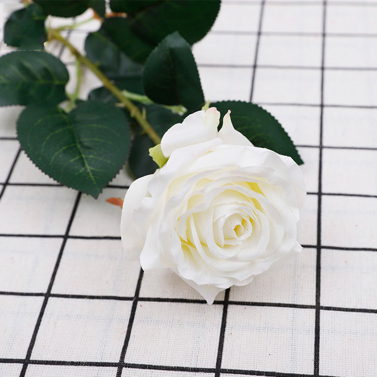 Blanc