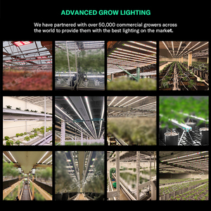 ไฟ LED 645W แบบหรี่แสงได้เต็มสเปกตรัมพร้อมโซ่เดซี่และฟังก์ชันการควบคุม - Product Image 5