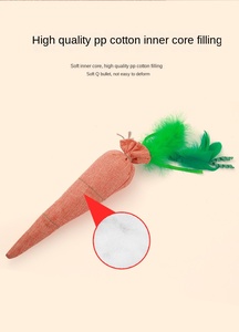 Nuevo diseño, modelo de zanahoria, accesorios para gatos, suministros para mascotas, juguete para mascotas, juguete para masticar, juguete para gatos, gatitos con hierba gatera - Product Image 3
