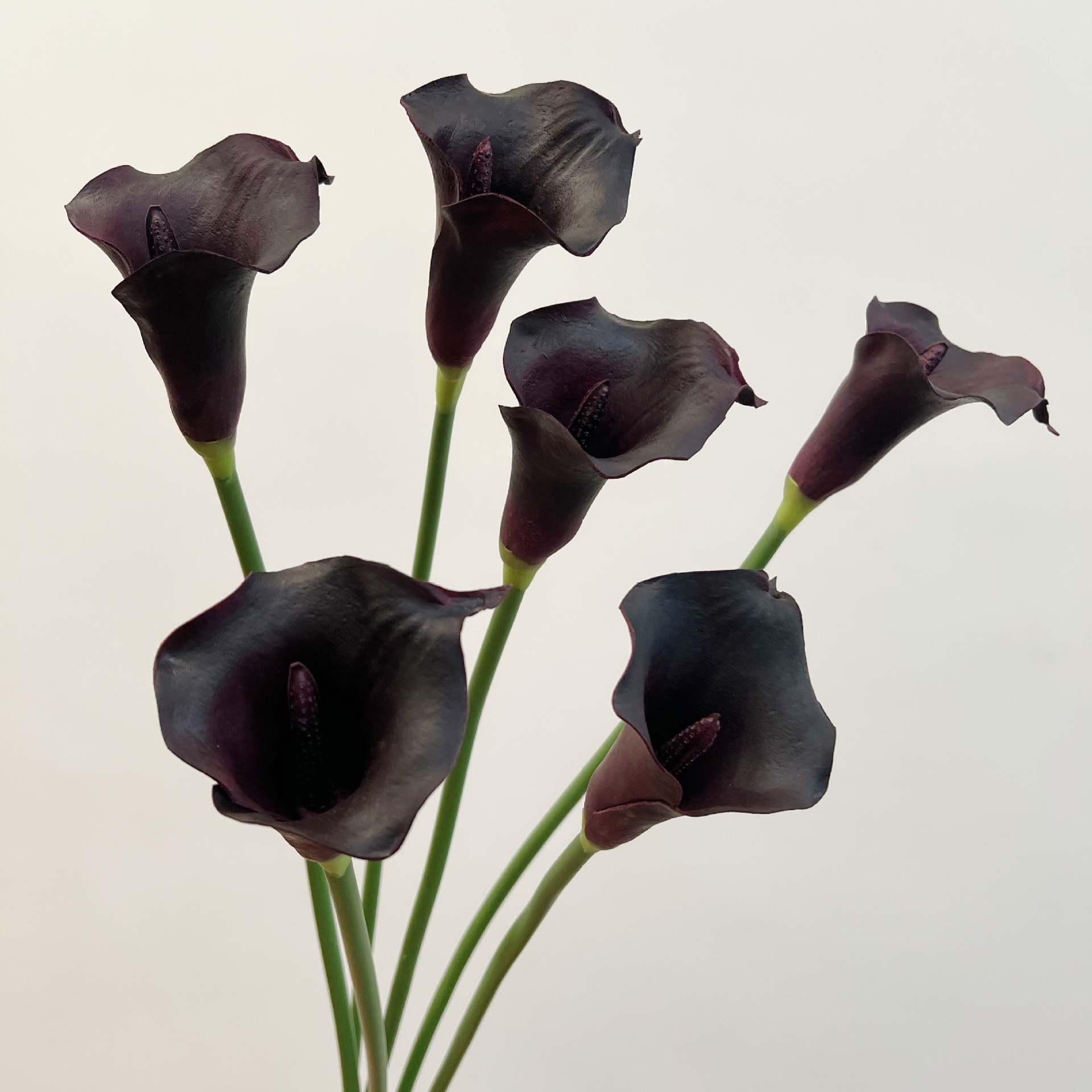 Pu calla lily croissant-noir-violet