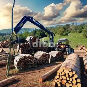 CE aprobado 3t 6t 8T 10t 12t maquinaria forestal brazos telescópicos largos grúa de madera cargador de madera Vehículo de registro portátil con pinza - Product Image 6