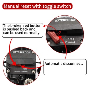 Disyuntor de interruptor térmico reiniciable High-Amp 48V DC 250A Corriente residual BCD Curva Miniatura para uso general