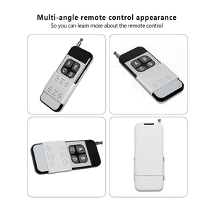 Mejor venta DC12V 2 botones Universal Auto puerta alarma sistema de seguridad electrónica abridor de puerta RF Control remoto inalámbrico - Product Image 4