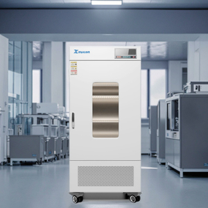 ZHH-250A mehrstufige Controller-Kammer mit vor eingestellter Programmier funktion