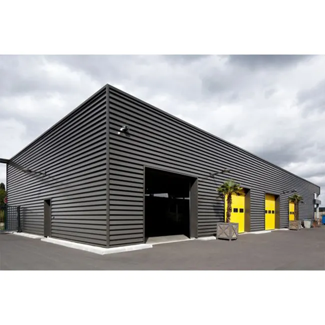 Moderne Staalconstructie Gebouw Geprefabriceerd Voor Kippenboerderij/Garage/Koude Kamer/Carport/Opslag Hangarloods Voor Magazijn