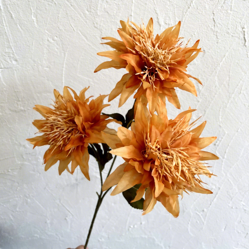 Arancione