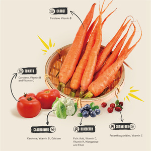 מודל חדש 2025 סין מזון לחיות מחמד במחיר נמוך לטעמים שונים תוכן חלבון גבוה מזון כלבים כלבים כלבים - Product Image 2