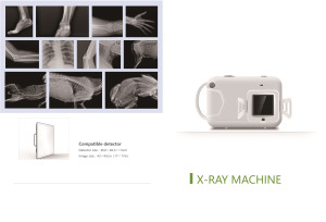 Escáner DE RAYOS X digital portátil para clínica de hospital, Detector de panel plano, animales, rayos X, sistema informático incorporado, máquina de rayos X de mano - Product Image 4
