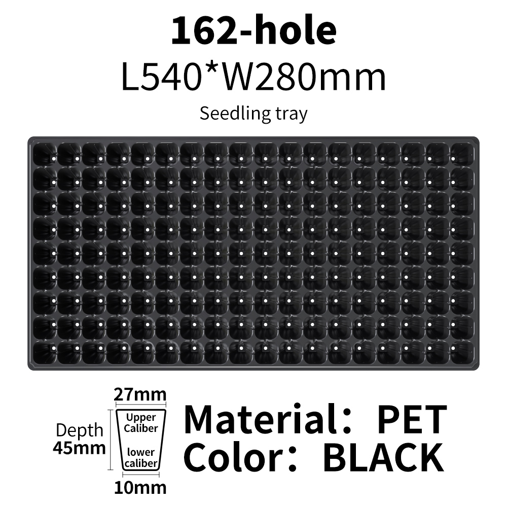 Cellules noires 162