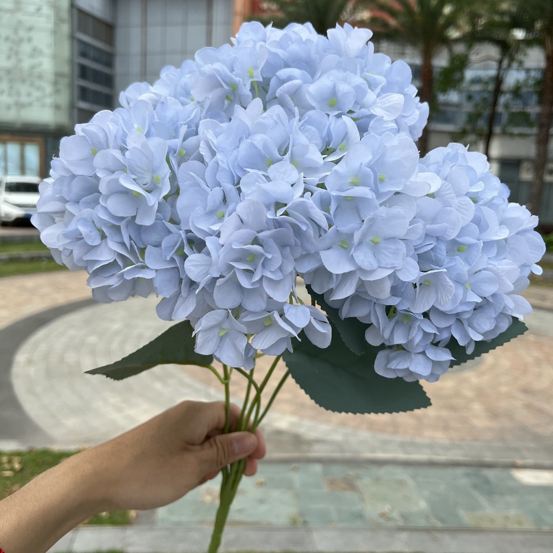 Light Grayish Blue