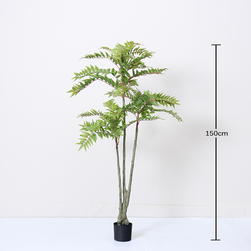 150cm