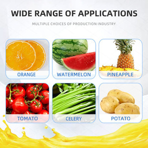 Meyve suyu makinesi meyve vida sıkacağı makinesi elma armut narenciye portakal suyu ekstraktör makinesi Despulpadoras De Frutas - Product Image 4