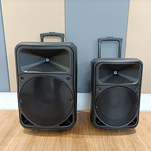 Economical 12/15 &quot;<strong>digital</strong> Portable Multi-function Rechargeable Trolley <strong>Speaker</strong> with Subwoofer - Product Image 3