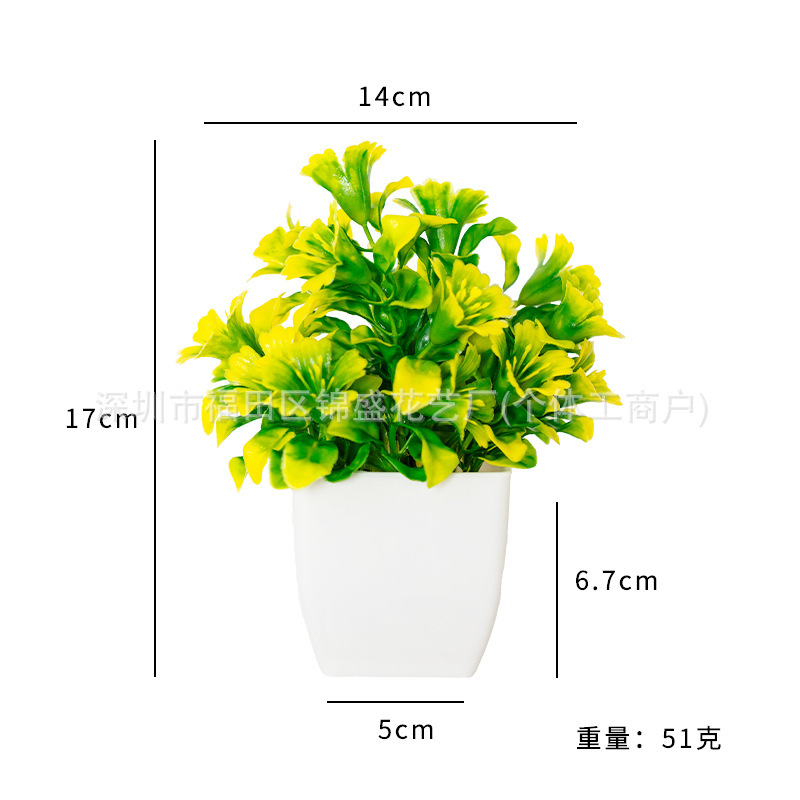 Plantes en pot de campanule