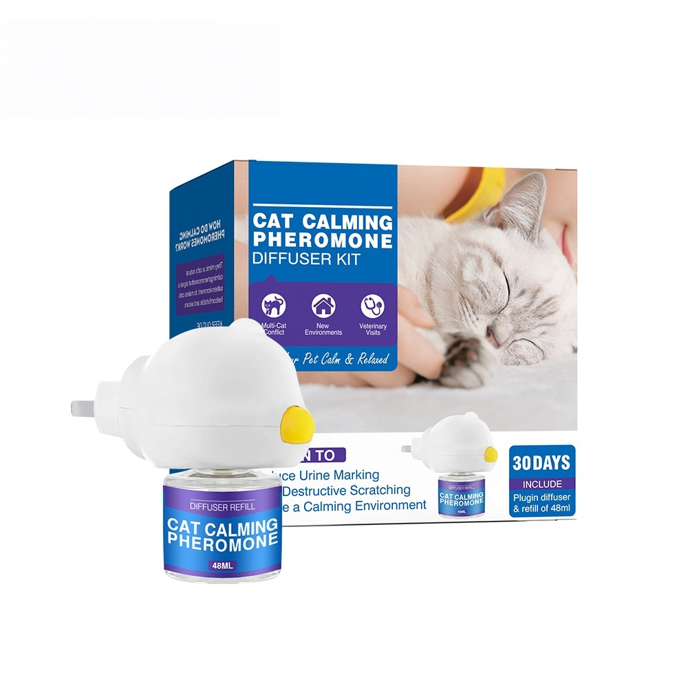 Chat bleu (1+1 norme américaine)