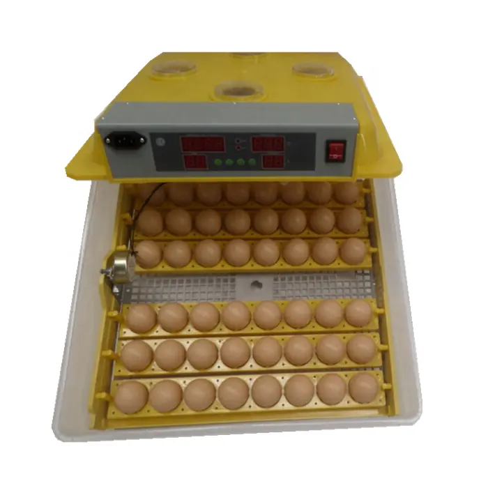 Home use mini incubator for sale/ZH-48 mini incubator for hatching about 50 chicken eggs