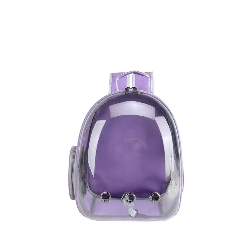 Pourpre