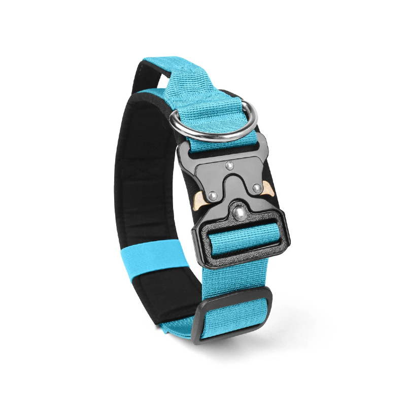 Turquoise Blue
