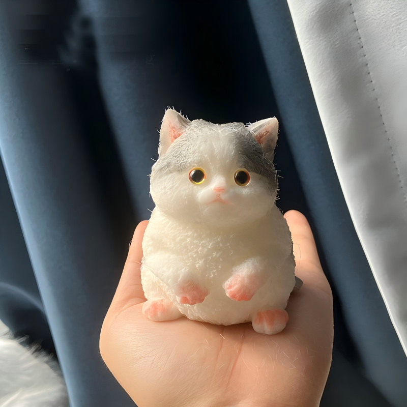 Chat gris et blanc
