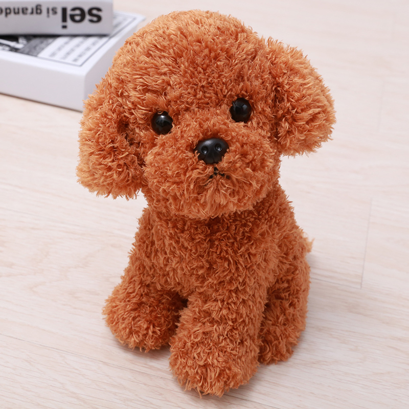 Teddy