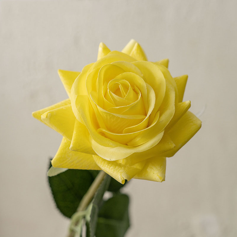 Amarillo