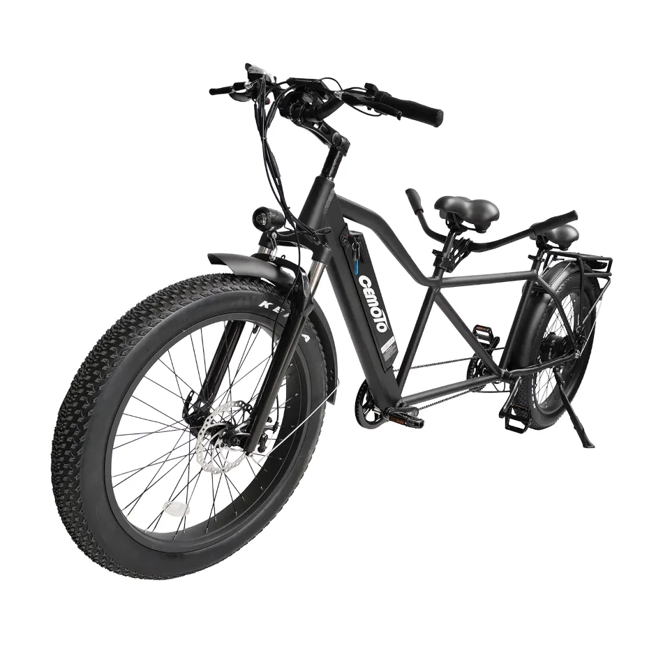 عالية الجودة 500w 750w 1000w التوأم الكلاسيكية Tandem دراجة للبالغين 48v Litium البطارية 7 سرعة دراجة كهربائية عريضة الإطارات مع الدواسات