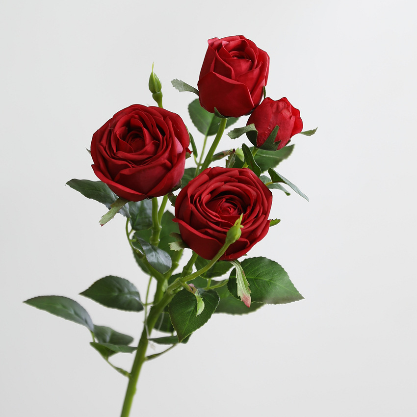Rosso