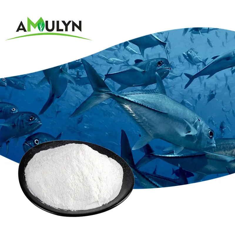 100% Pure Natural Hydrolyzed Premium Fish Collagen Peptide Powder