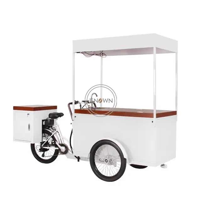 Bici elettrica del rimorchio del carico di energia solare dell'oem con la bici di vista del gelato solare personalizzabile del triciclo del gelato del congelatore 230L