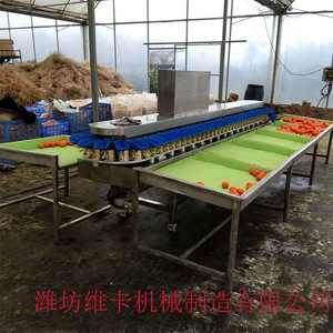 Rotary Tray Type <strong>Sorting</strong> <strong>Machine</strong> Automatic Weight Grading <strong>Machine</strong> - Product Image 5