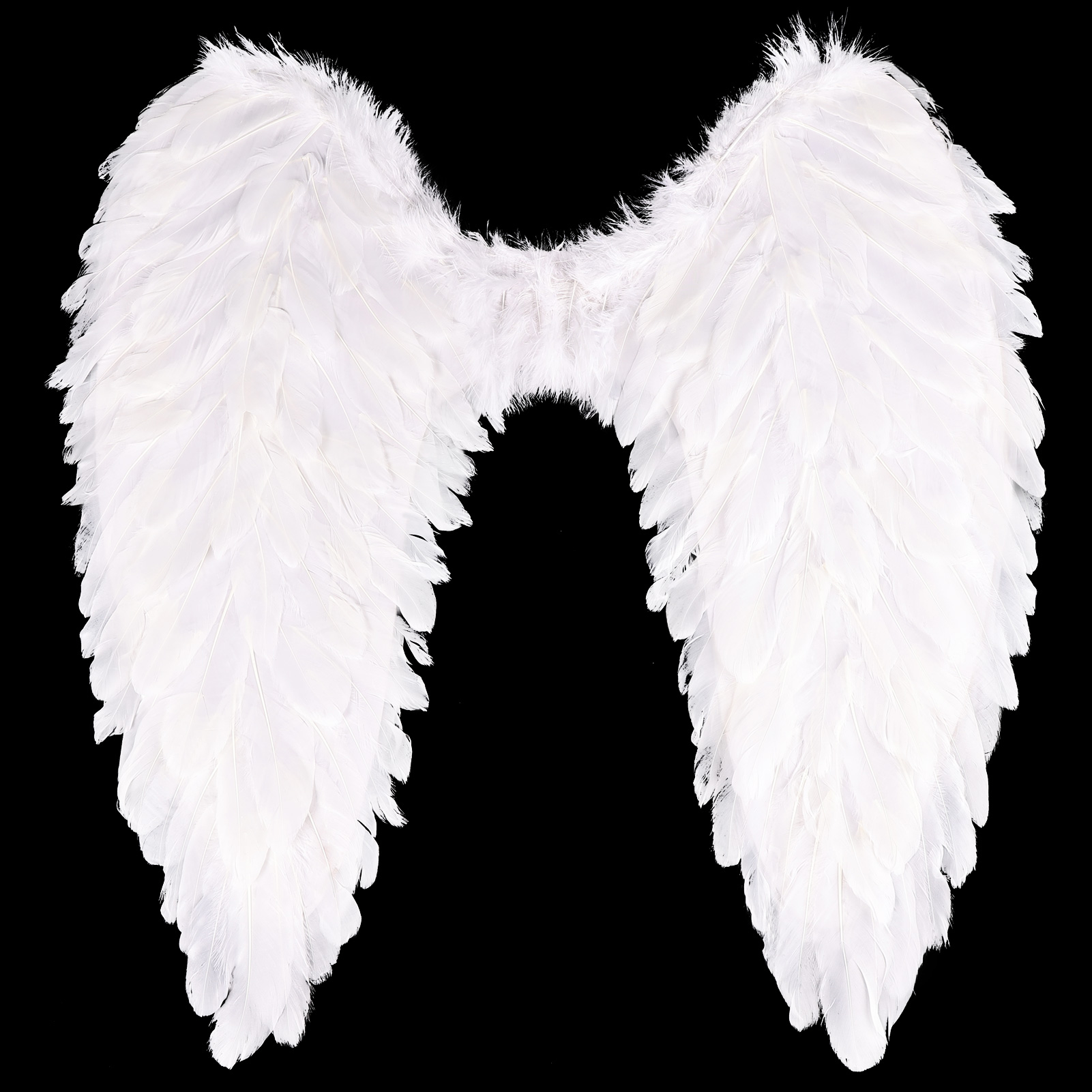White 03