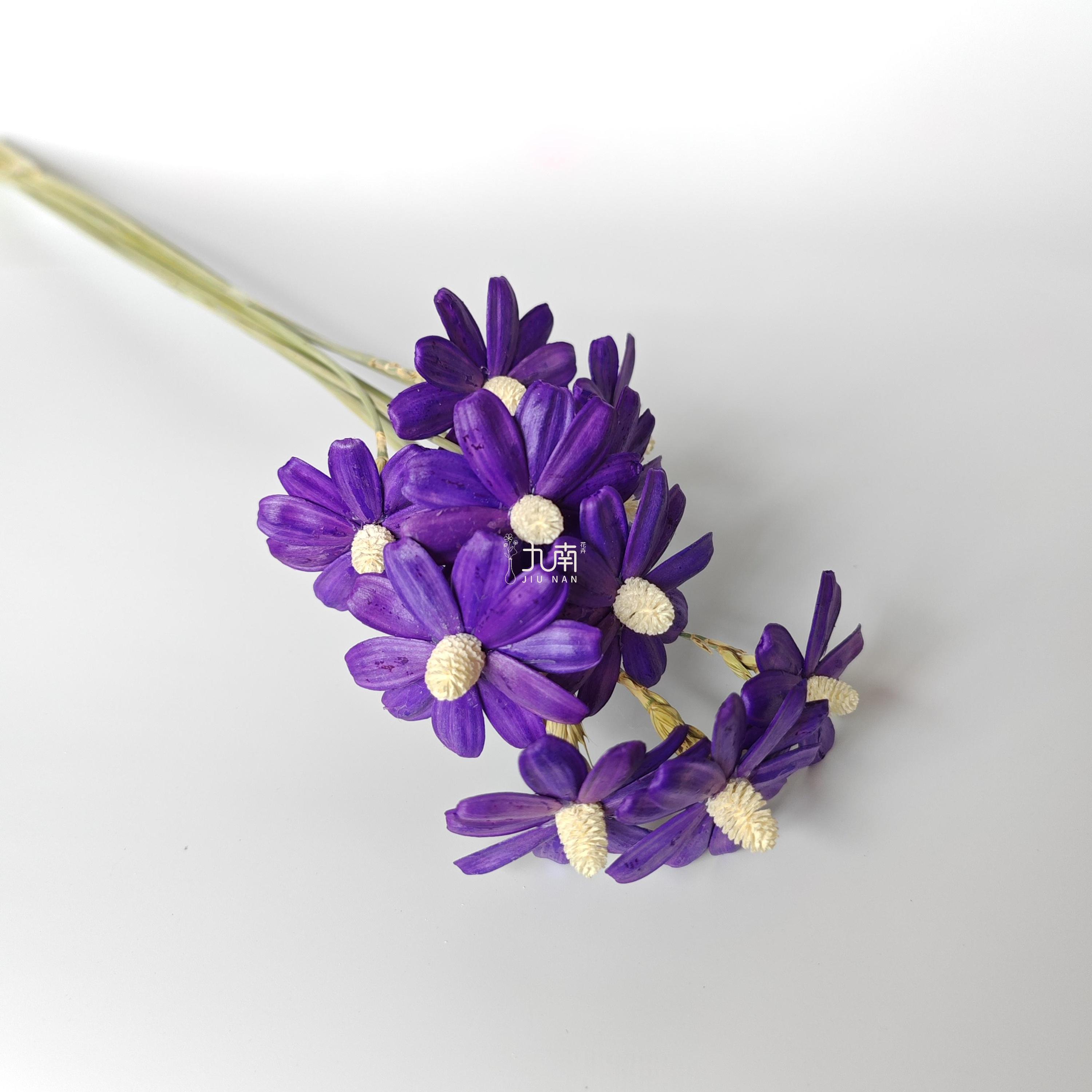 Purple 10 pcs/bundle