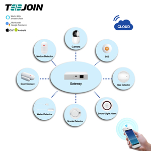 WIFI Smart Home and Building Automation sistemi di controllo integrati sistema di controllo dell'automazione domestica completo funziona con Alexa Google