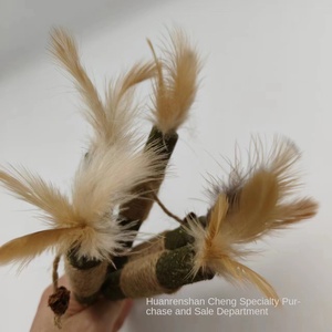 Eco-Friendly Durable Self-Relief <strong>Catnip</strong> Big Mac Polygonum Knockwood Bite Mint Resistant <strong>Cat</strong> Teaser Stick <strong>Cats</strong> Dogs <strong>Catnip</strong> <strong>Catnip</strong> - Product Image 3