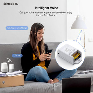 30A图雅智能开关Wifi/Zigbee继电器模块85-250V 220V 20A智能生活遥控器阿列克谢谷歌家庭自动化