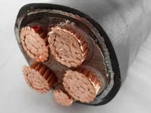 Certified <strong>16mm2</strong> Low Voltage Power Cable with PVC Insulation and Sheath Copper Conductor Single Core 4 <strong>Wire</strong> for Construction - Product Image 3