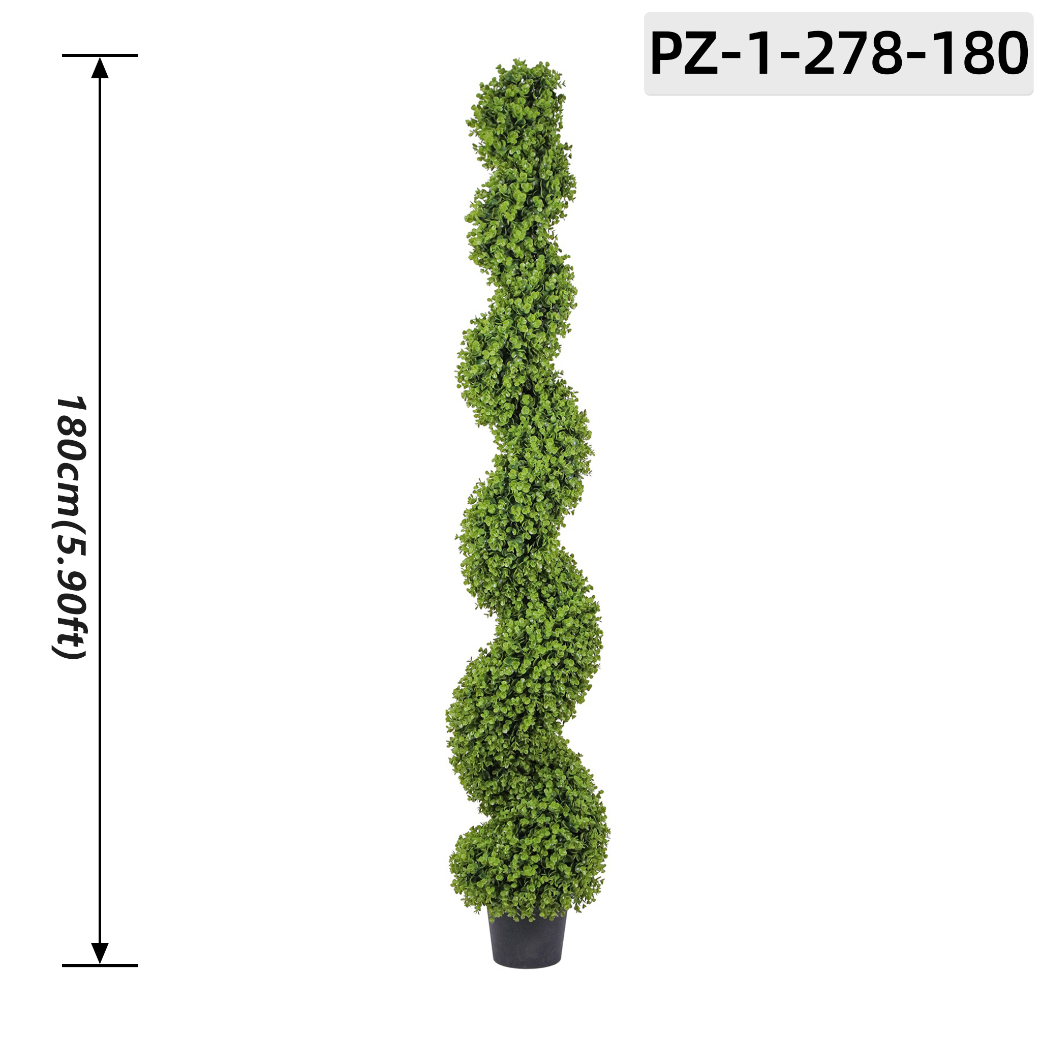 Arbusto espiral denso de color verde brillante y vibrante (180 cm / 5,90 pies)